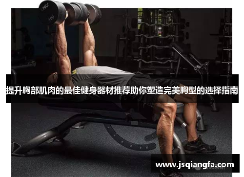 提升胸部肌肉的最佳健身器材推荐助你塑造完美胸型的选择指南