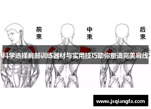 科学选择肩部训练器材与实用技巧助你塑造完美肩线