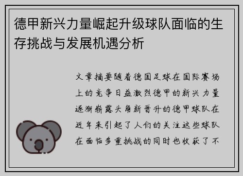 德甲新兴力量崛起升级球队面临的生存挑战与发展机遇分析